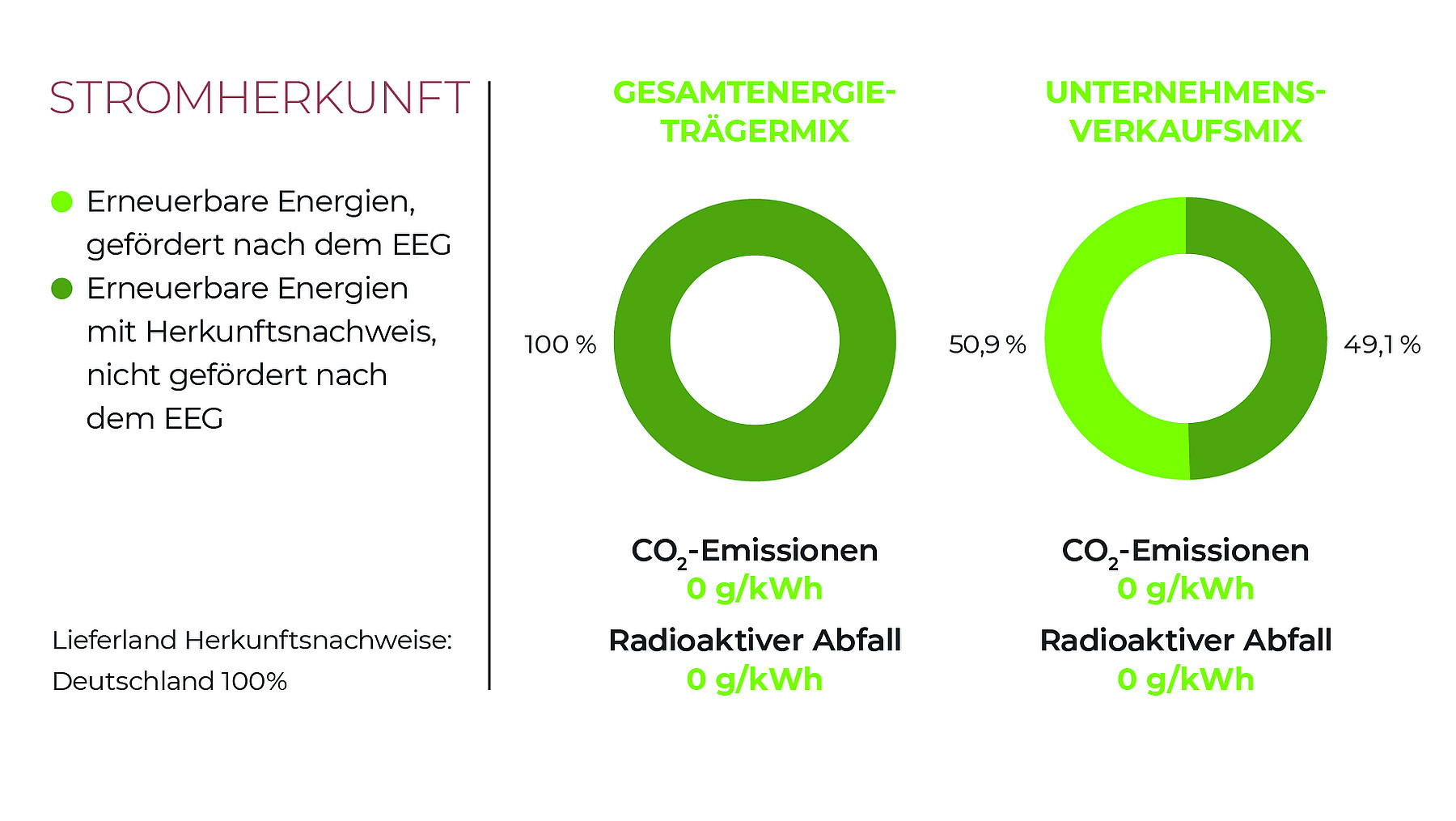 Gesamtenergie- und Unternehmensverkaufmix von RegioGrünStrom